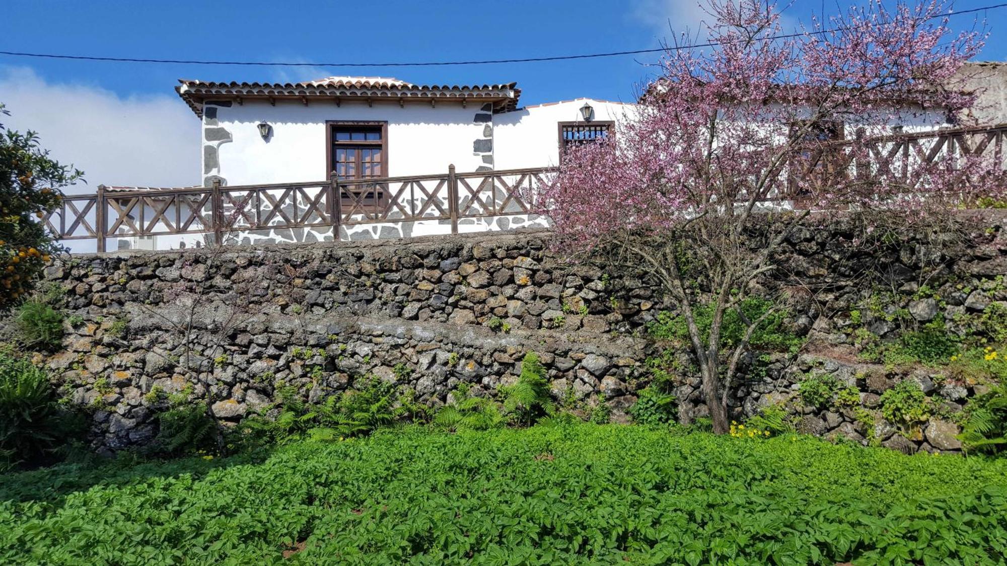Casa Rural Monte Del Agua Los Silos Extérieur photo